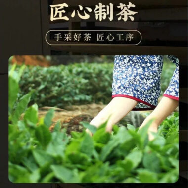 Premium Guangxi [Pearl Jasmine] Green Tea Canned Gift Set 250/500g