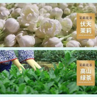 Premium Guangxi [Pearl Jasmine] Green Tea Canned Gift Set 250/500g