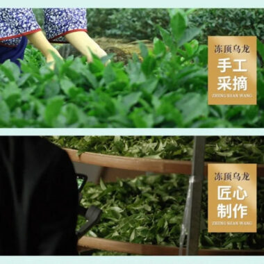 Premium High Mountain [Dongding Oolong] Strong Aroma Oolong Tea Gift Set 250/500g