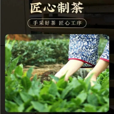 Premium High Mountain [Dongding Oolong] Strong Aroma Oolong Tea Gift Set 250/500g