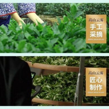 Premium Early Spring [Mountain Green Tea] Canned Gift Set 250/500g