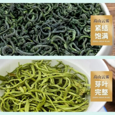 Premium Early Spring [Mountain Green Tea] Canned Gift Set 250/500g