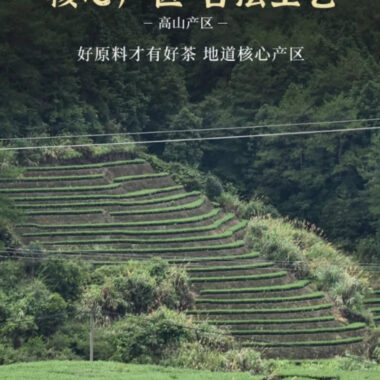 [Tie Guan Yin] Fresh Flora Aroma Oolong Tea Gift Set 250/500g