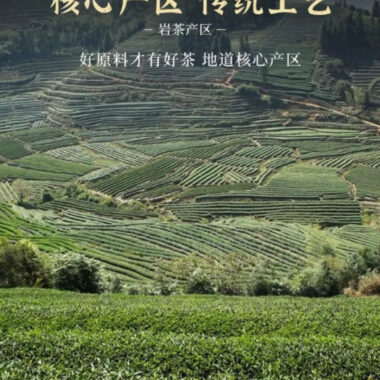 Wuyi [Da Hong Pao] Strong Aroma Oolong Tea Canned Gift Set 360g