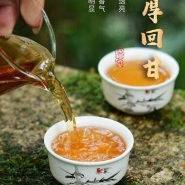 Premium Wuyi [Golden Peony] Oolong Tea 500g