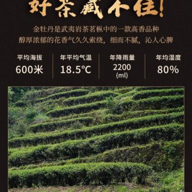 Premium Wuyi [Golden Peony] Oolong Tea 500g