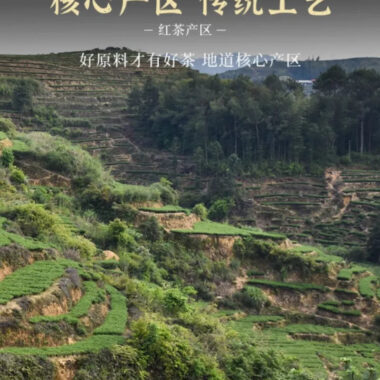 Wuyi [Jin Jun Mei] Flora Aroma Black Tea Canned Gift Set 250/500g