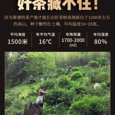 Premium Wuyi [Lapsang Souchong] Black Tea 500g