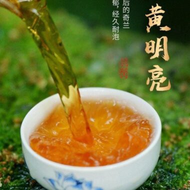 Premium Wuyi [Qilan] Orchid Flora Fragrance Oolong Tea 500g