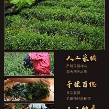 Premium Wuyi [Qilan] Orchid Flora Fragrance Oolong Tea 500g