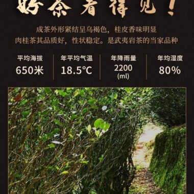 Premium Wuyi [Ma Tou Yan Rougui] Fruity Fragrant Oolong Tea 500g