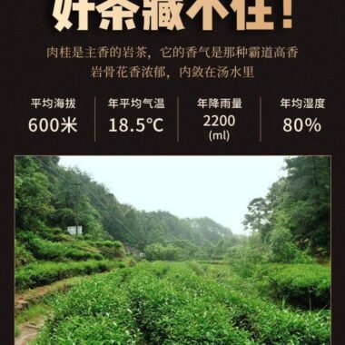 Premium Wuyi [Baqi Rougui] Strong Fragrant Oolong Tea 500g