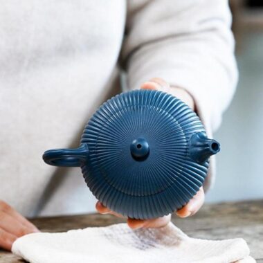 Yixing Zisha Teapot [Begonia Xishi] (Tian Qing Ni – 260ml)