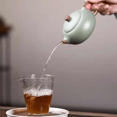Yixing Zisha Teapot [Flat Xishi] (Douqing Sha/Jiao Ni – 220ml)