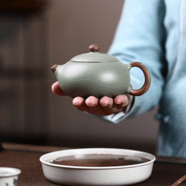 Yixing Zisha Teapot [Flat Xishi] (Douqing Sha/Jiao Ni – 220ml)