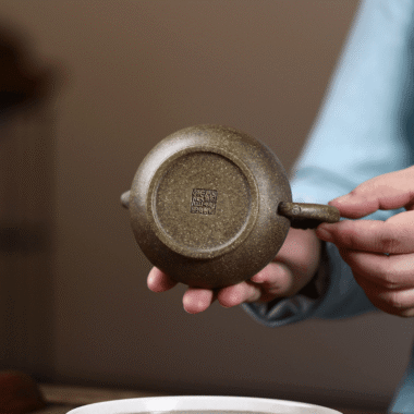 Yixing Zisha Teapot [Long Yun Pan Hu] (Long Bei Qing – 260ml)