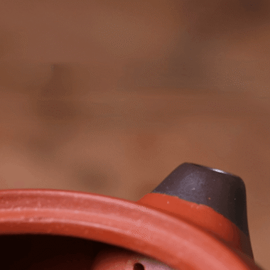 Yixing Zisha Teapot [Lotus Seed Xishi] (Zhu Ni – 240ml)