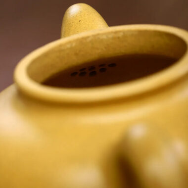 Yixing Zisha Teapot Set [Lotus Seed Pot] (Huangjin Duan Ni – 300ml)