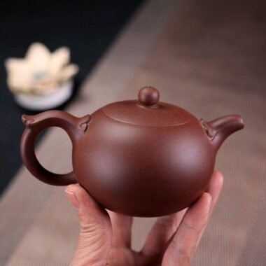 Yixing Zisha Teapot Set [Wishful Xishi] (Zi Ni – 240ml)