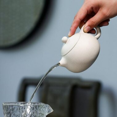 Yixing Zisha Teapot [Xishi Pot] (Bai Duan Ni – 280ml)