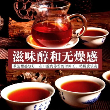 2006 Spring Yunnan Shu Puer Tea Cake [Bingdao]