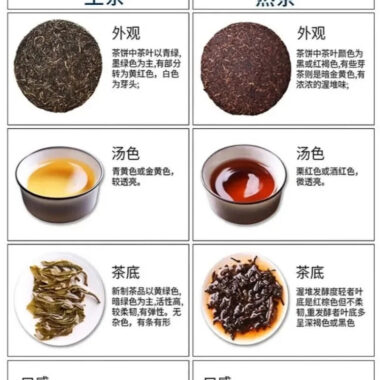 2006 Spring Yunnan Shu Puer Tea Cake [Bingdao]