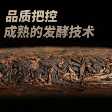 2009 Spring Yunnan Premium Shu Puer Tea Cake [Bingdao Golden Buds]