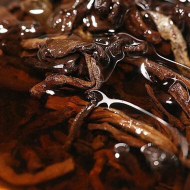 2009 Spring Yunnan Shu Puer Tea Cake [Cang Shan]