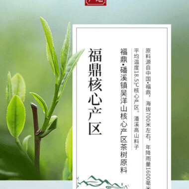 2012 Fuding White Tea Cake [Gong Mei]