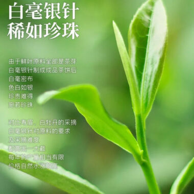 2014 Spring Fuding White Tea Cake [Baihaoyinzhen]