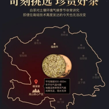 2014 Spring Fuding White Tea Cake [Baihaoyinzhen]