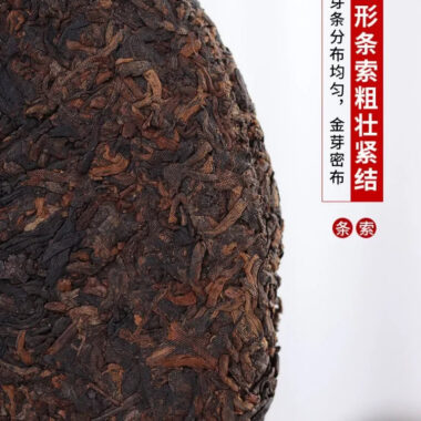 2019 Spring Yunnan Shu Puer Tea Cake [Ding Jia Zhai]