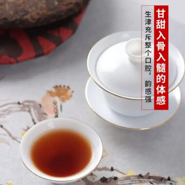 2019 Spring Yunnan Shu Puer Tea Cake [Ding Jia Zhai]