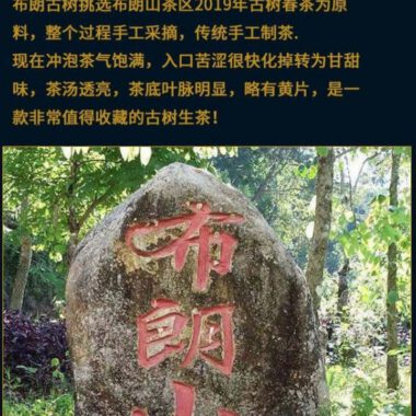 2019 Yunnan Sheng Puer Tea Cake [Bulang Shan]