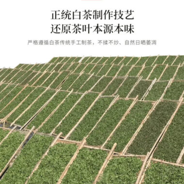2020 Fuding White Tea Cake [Diancang Gaoshan Gong Mei]