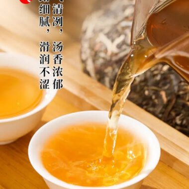 2021 Spring Yunnan Yiwu Sheng Puer Tea Cake [Bo He Tang]