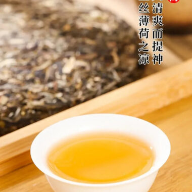 2021 Spring Yunnan Yiwu Sheng Puer Tea Cake [Bo He Tang]