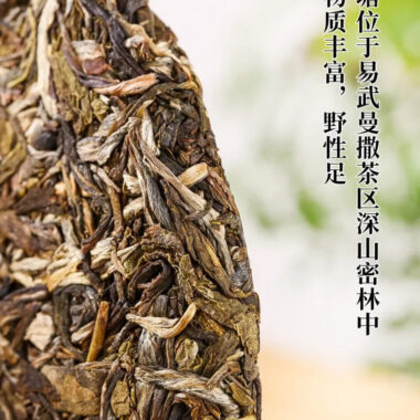 2021 Spring Yunnan Yiwu Sheng Puer Tea Cake [Bo He Tang]