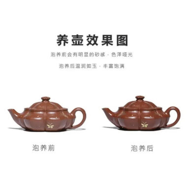 Full Handmade Yixing Zisha Teapot [Hua Fei Die Wu] (Jin Jiang Po Ni – 250ml)