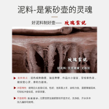 Full Handmade Yixing Zisha Teapot [Jin Wen Biyu] (Meigui Zi Ni – 300ml)