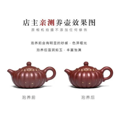 Full Handmade Yixing Zisha Teapot [Jin Wen Ruyi] (Long Xue Sha – 180ml)