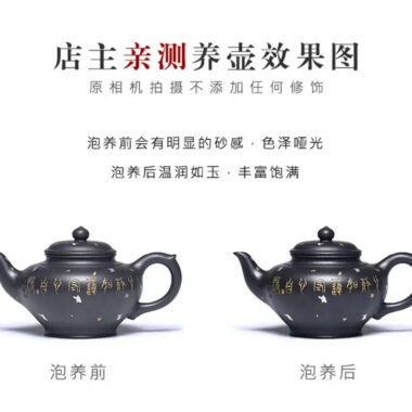 Full Handmade Yixing Zisha Teapot [Jixiang Xiao Ying] (Hei Luolan – 120ml)