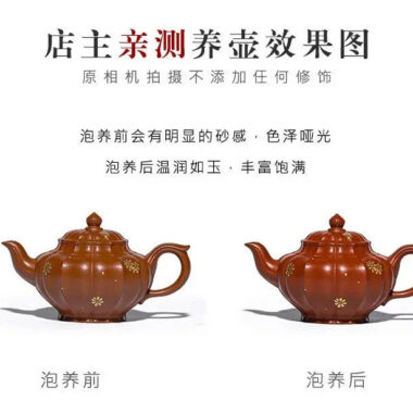Full Handmade Yixing Zisha Teapot [Piao Hua Xiao Ying] (Xiao Meiyao Zhu Ni – 180ml)