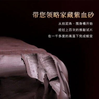 Full Handmade Yixing Zisha Teapot [Zhu Yun Baifu] (Zi Xue Sha – 380ml)