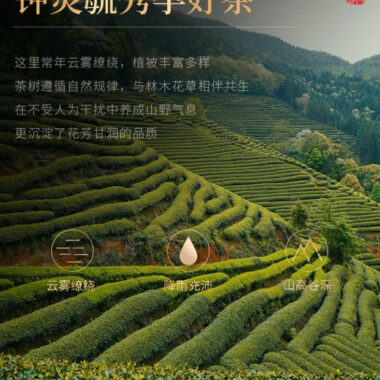 Wuyi Yan Cha Premium [Jin Jun Mei] Elegant Gift Box Set 240g