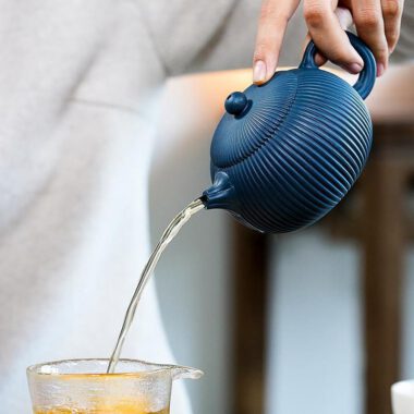 Yixing Zisha Teapot [Begonia Xishi] (Tian Qing Ni – 260ml)