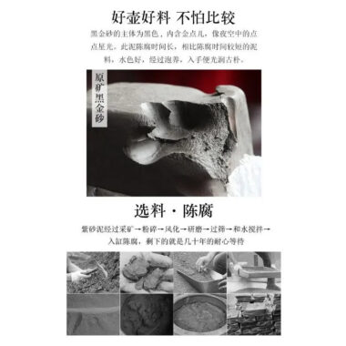 Yixing Zisha Teapot [Plum Blossom Shi Piao] (Hei Jin Sha – 220ml)