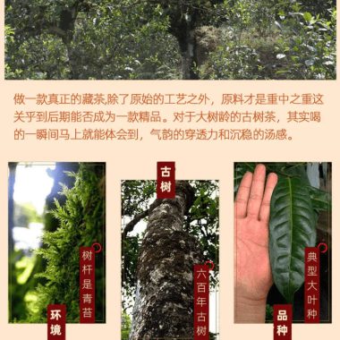 2006 Yunnan Shu Pu-er Tea Cake  [Lao Ban Zhang]