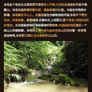 2009 Spring Yunnan Shu Puer Tea Cake [Bingdao] – Single Piece 357g