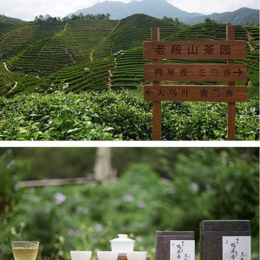 Lao Duan Shan Premium Phoenix Dancong [Snowflakes Yashixiang] Oolong Tea